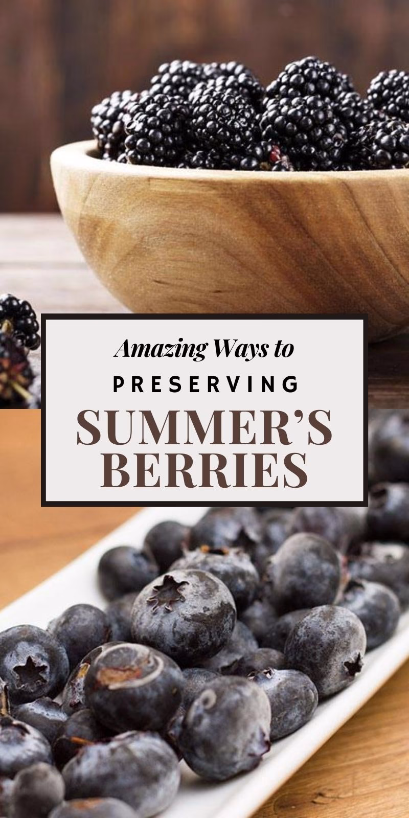 Preserving Summer's Berries