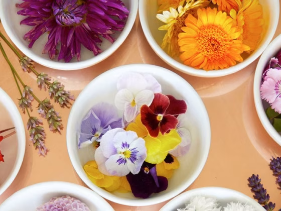 Cooking with Flowers