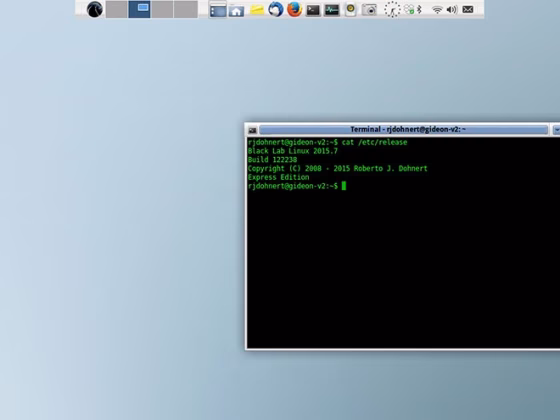 The Linux Rootkit Detected a Failure