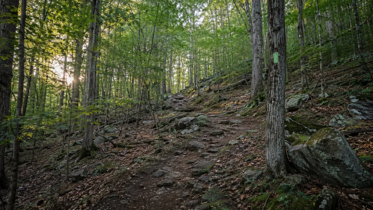 Trail sign and wooded climb on Maryland Heights Trail