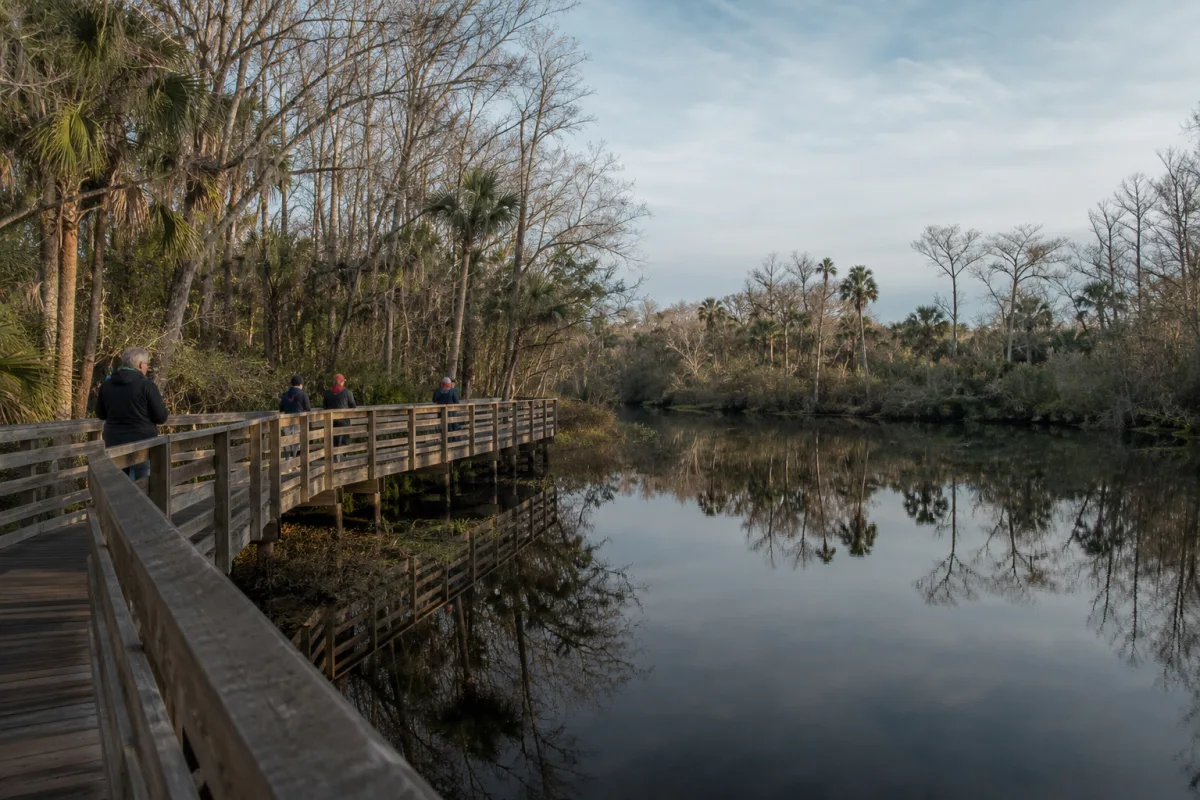 Manatee Park viewing area in Fort Myers