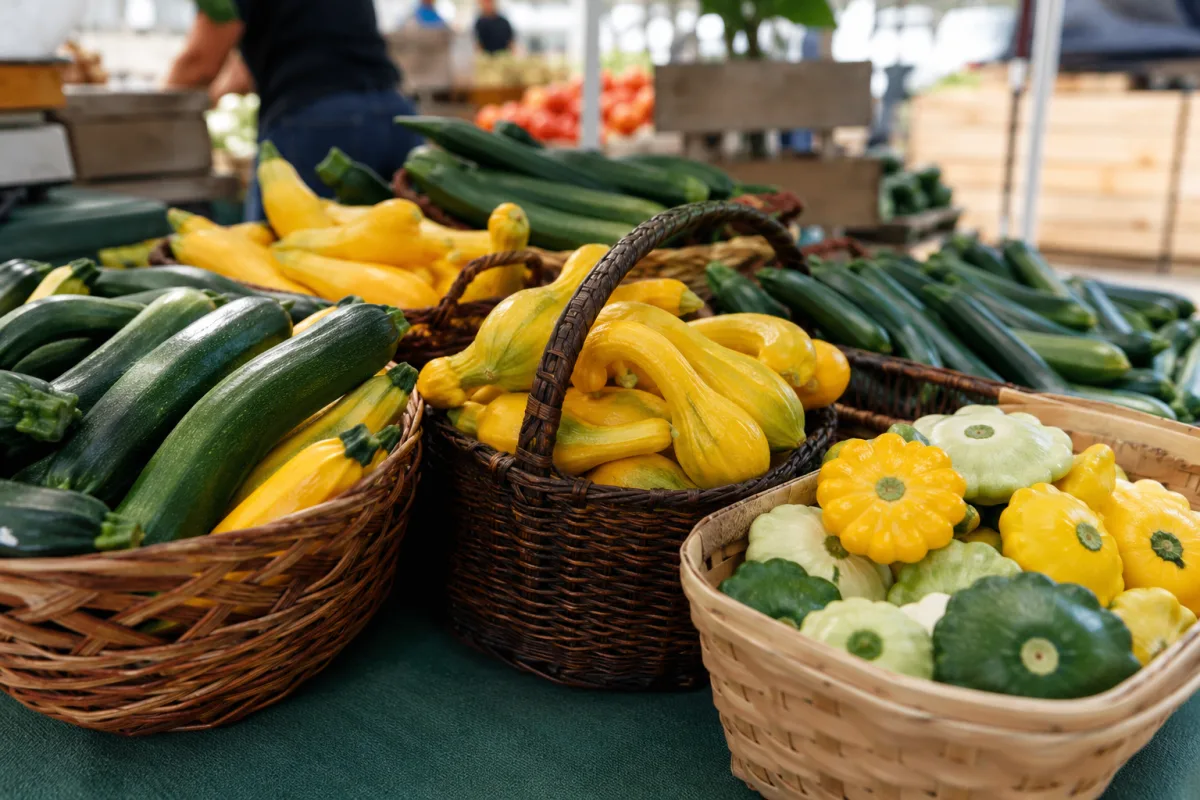 Popular summer squash varieties at a market