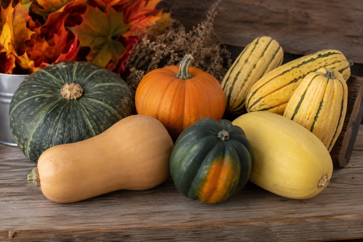 Popular winter squash varieties on a wooden table