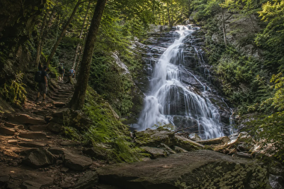 Dark Hollow Falls trail scenery near Skyline Drive