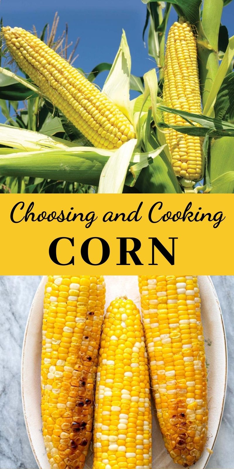Choosing and Cooking Corn
