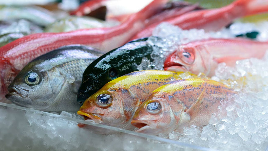 Expert Tips for Buying Fresh Seafood