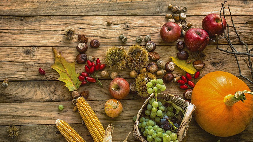 Easy Ways to Capture Fall’s Harvest