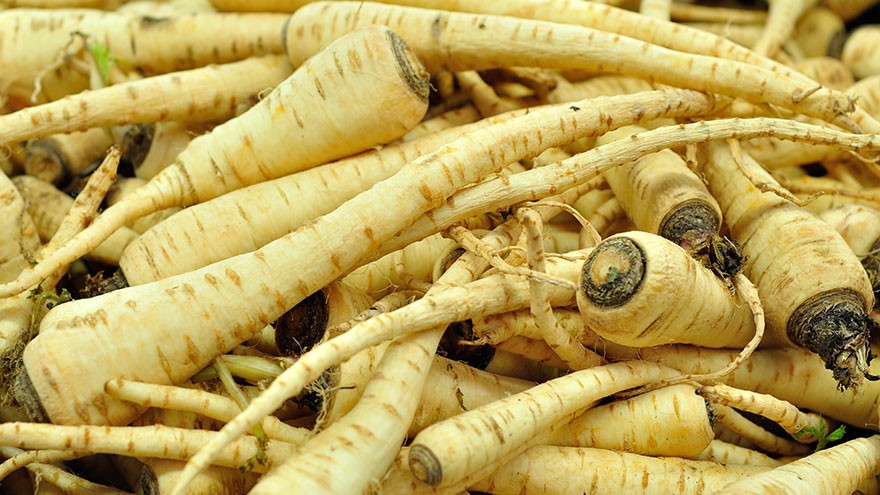 Root Vegetables Parsnips