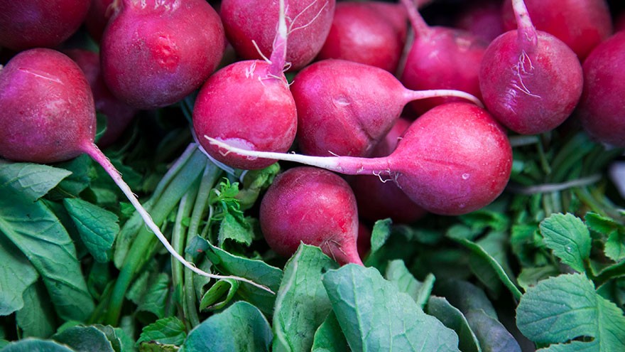 Root Vegetables Turnips