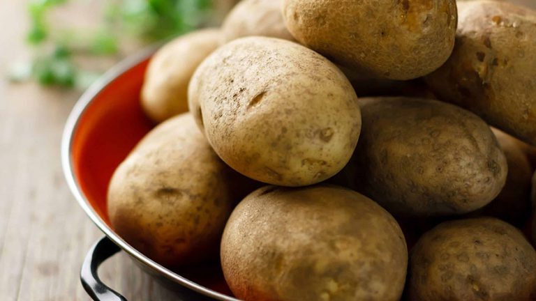 Different Types Of Potatoes | Our Deer