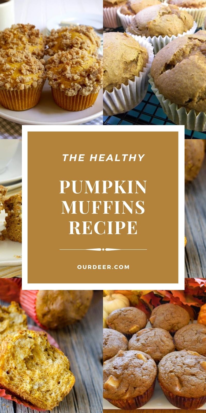 The Healthy Pumpkin Muffins Recipe