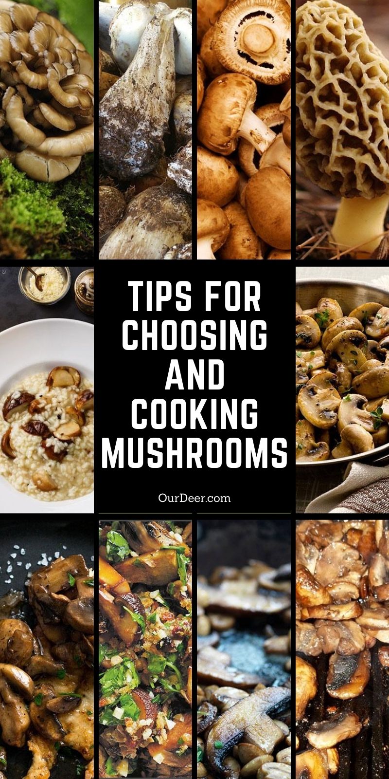 Choosing and Cooking Mushrooms