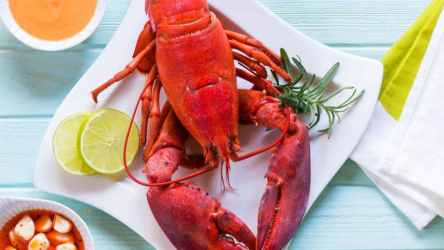 Follow these easy tips using lobster cooking recipes: