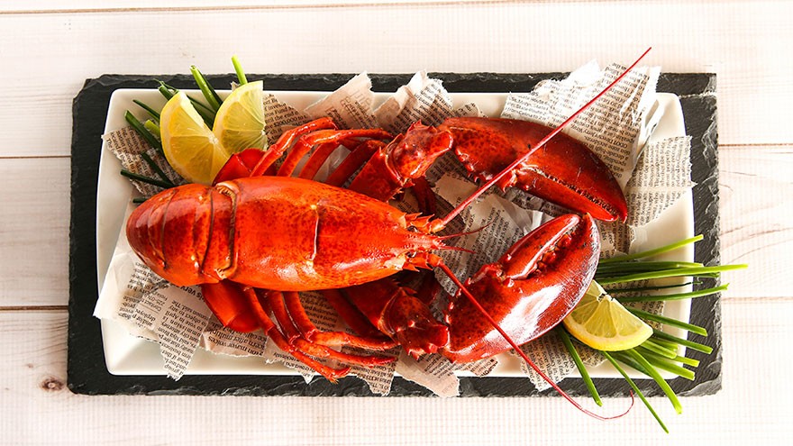 Tips for Cooking Lobster