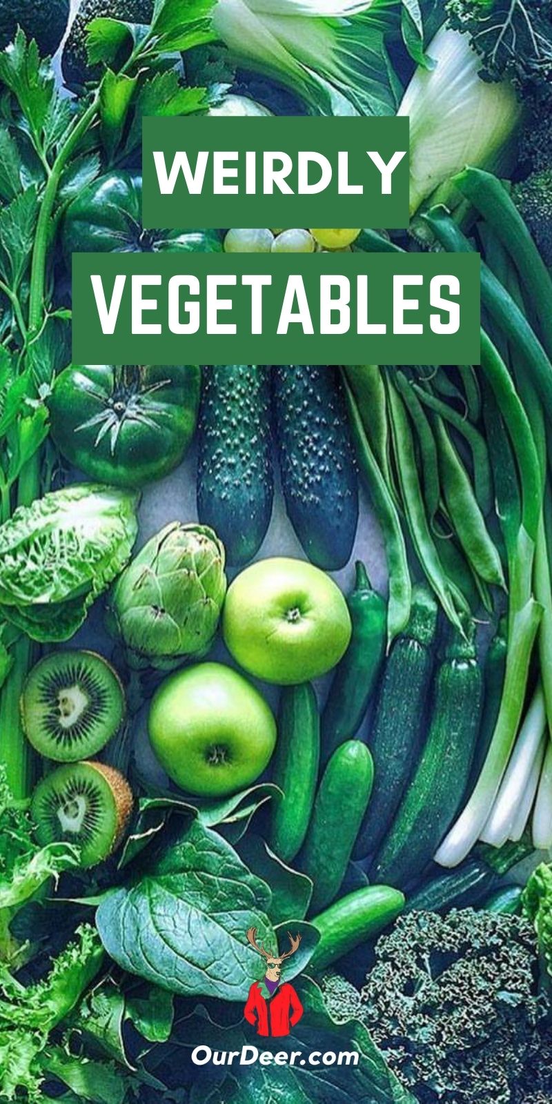 Weirdly Wonderful Vegetables