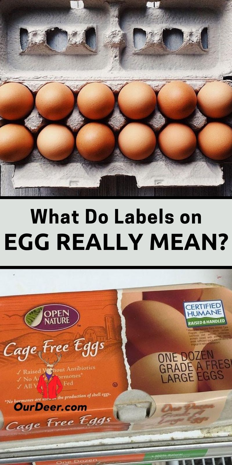 What Kind of Eggs Are You Really Buying