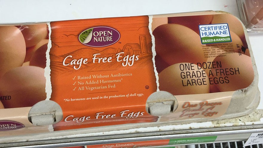 Cage-Free