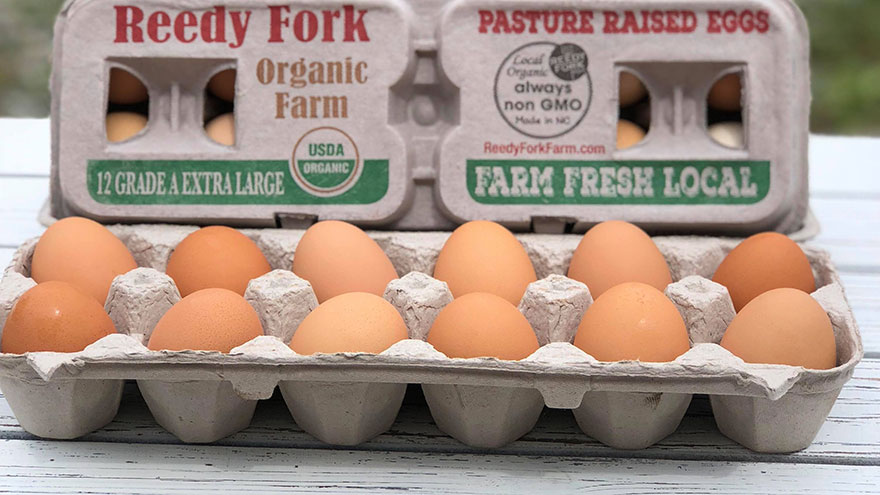 What-Kind-of-Eggs-USDA-Organic