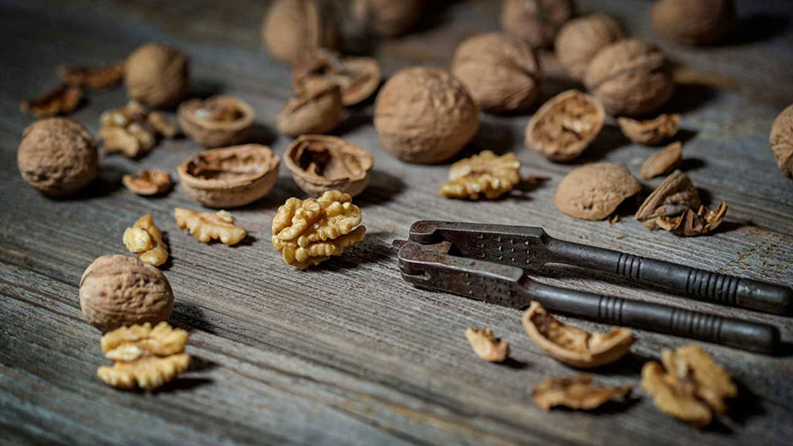 Learn About Wild for Walnuts