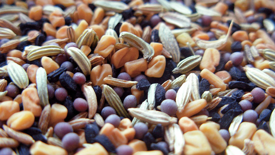 seeds Foods That Make You Smarter