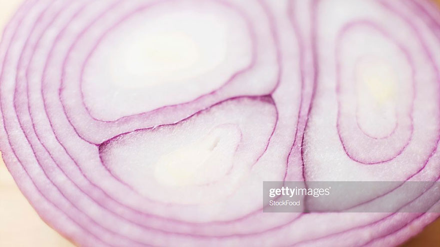 Bermuda Onion