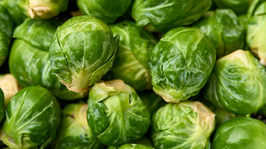 Brussel Sprouts