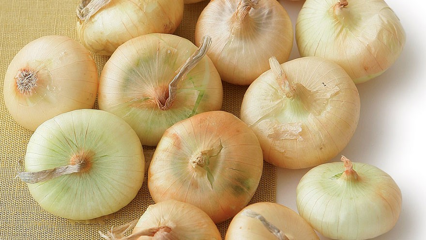 Cippolini Onion