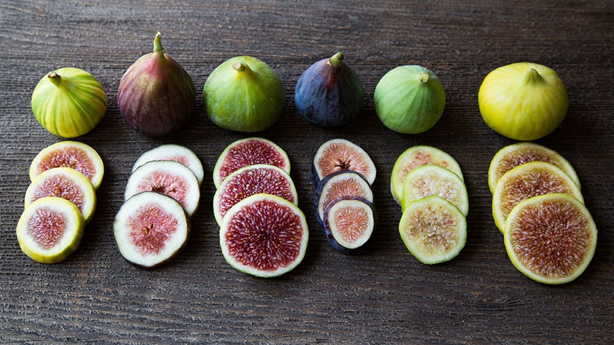 Fig Varieties