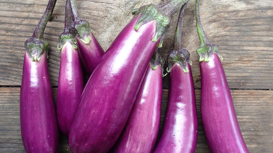 How to Buy Eggplant