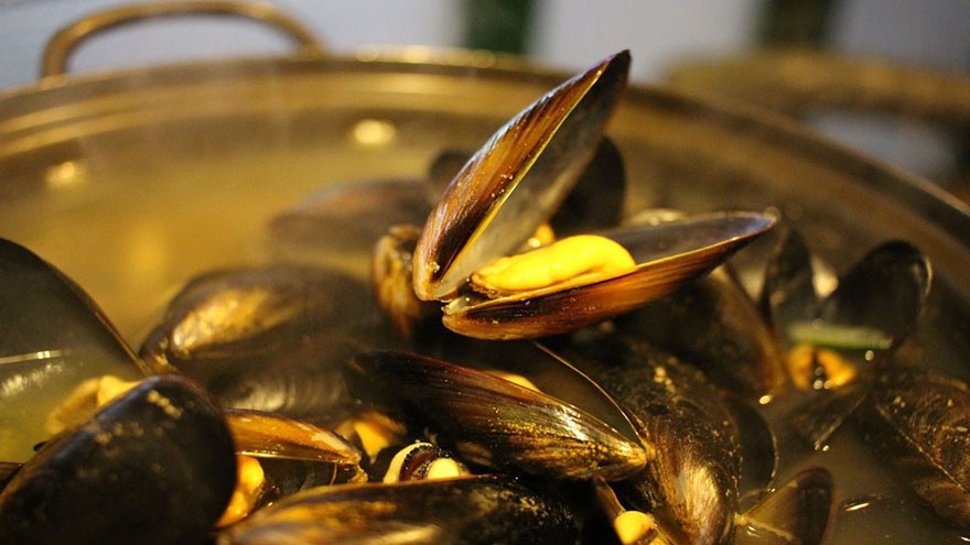 Other Tips for Mussels