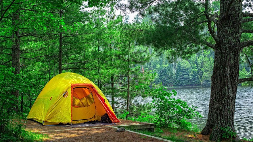 Toilet While Camping