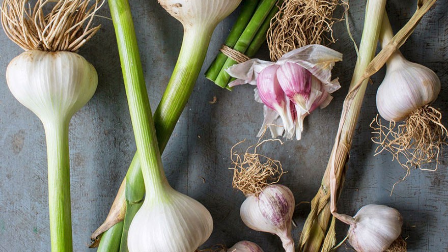 How to Prepare Garlic
