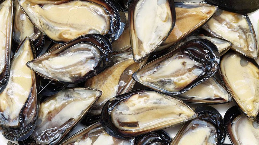 How to Buy Mussels