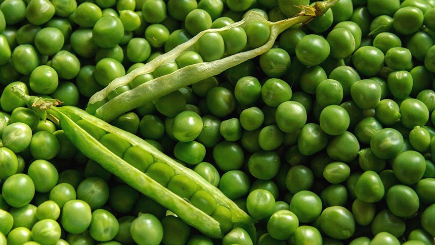 Spring Vegetables Peas