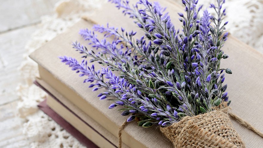 The History of Lavender