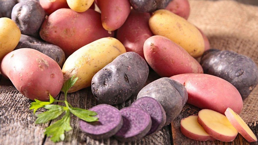 The History of Potato