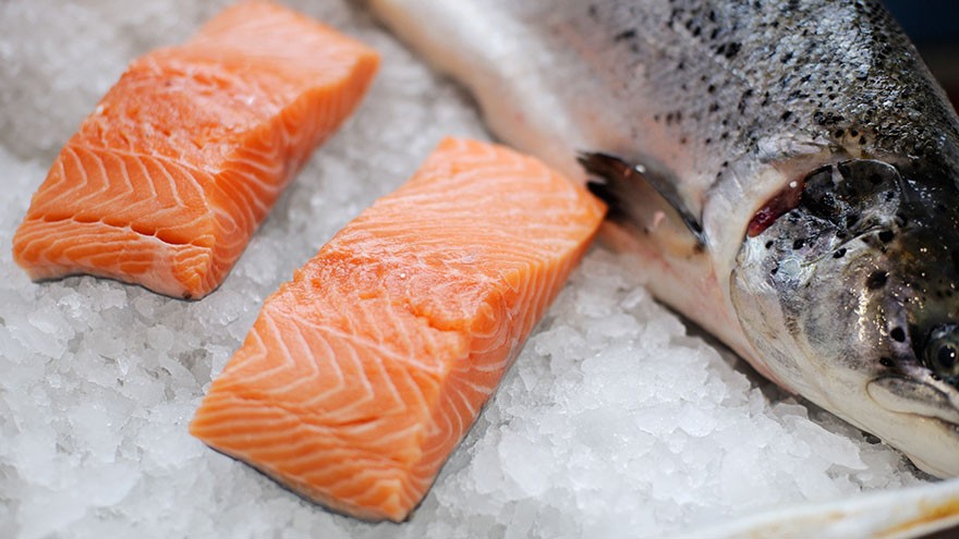 The History of Salmon