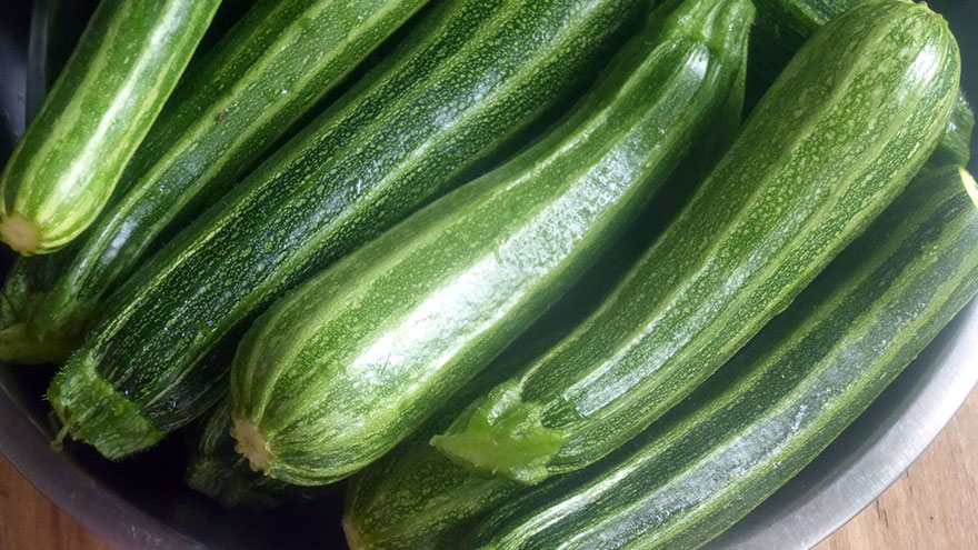 Zucchini Squash