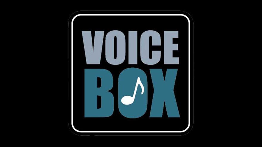 Voice Boxes Work