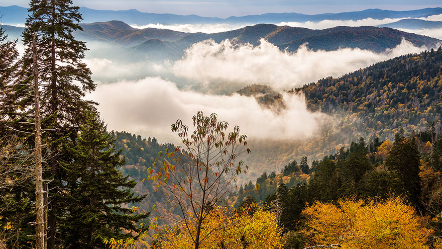 Fun Facts About the Great Smoky Mountains