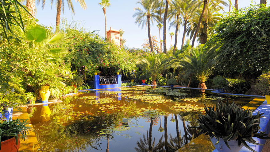 5. Nature at Marrakech’s Gardens