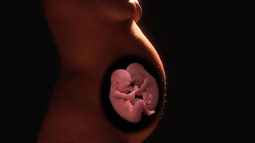 Switch Sides in the Womb