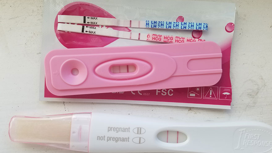 How To Measure Hcg Levels Our Deer