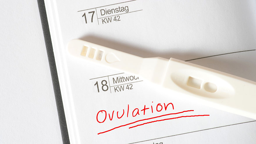 Ovulation Predictor Test Work