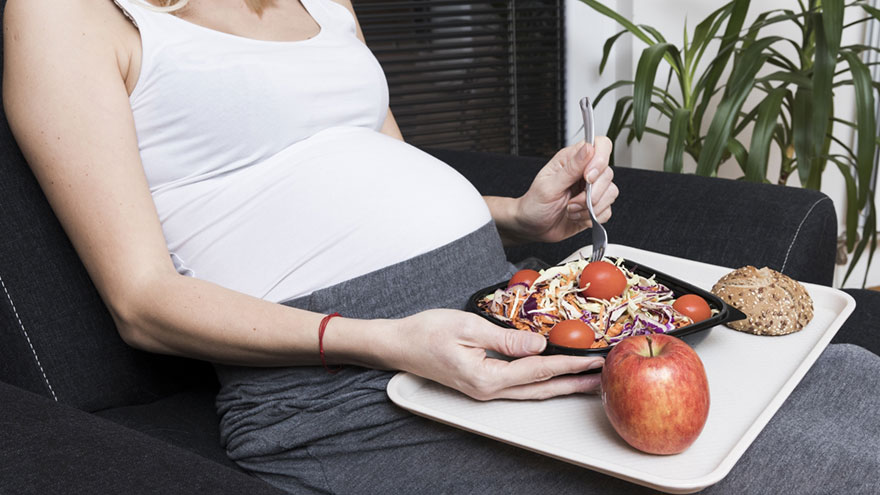 Atkins Diet for Pregnancy