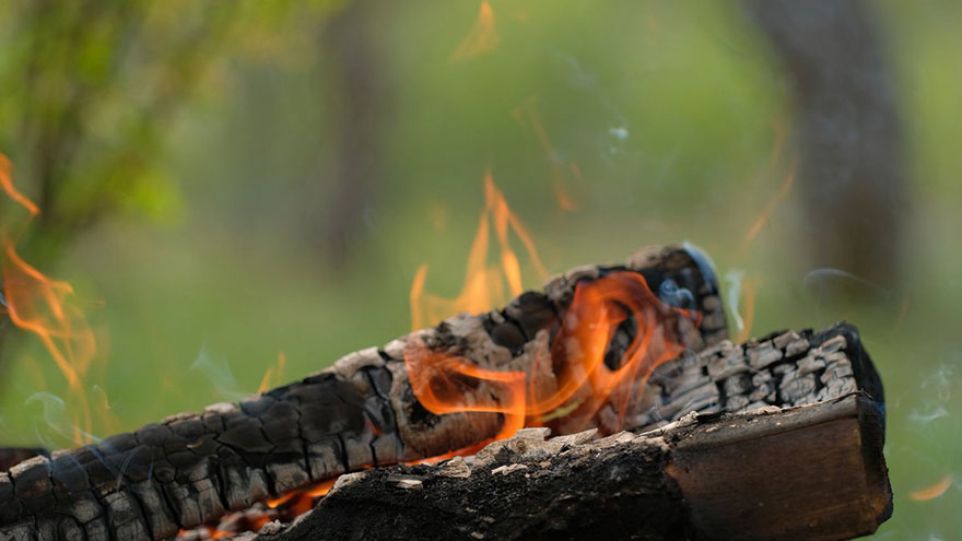 Burn Green Firewood