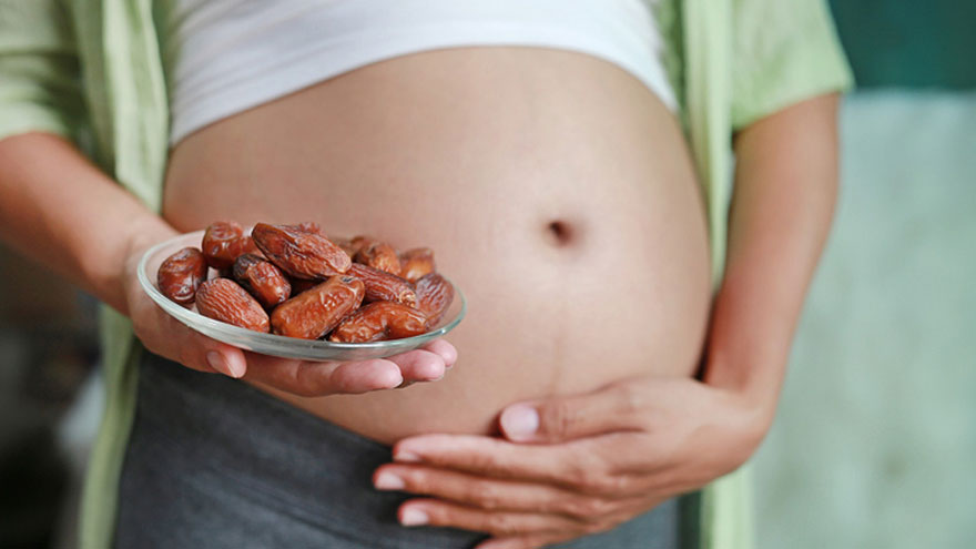 Dry Fruits in Early Pregnancy