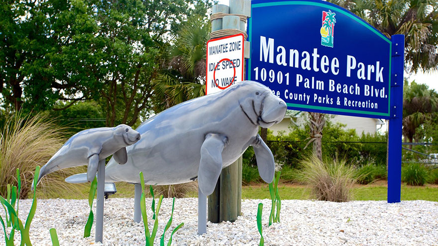 Manatee Tours in Fort Myers