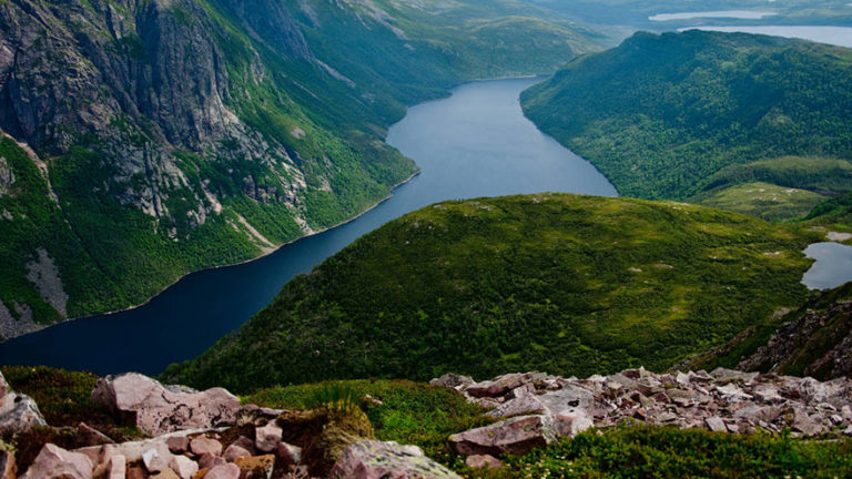 tours to gros morne national park