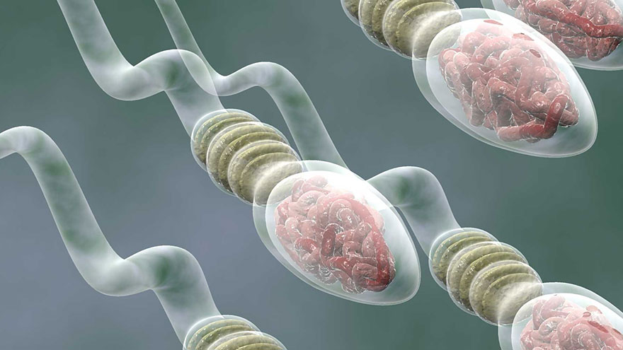 How to Increase Sperm